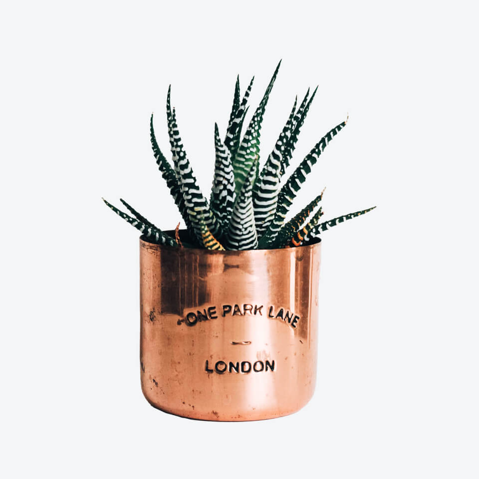 office-furniture-store-product-img-25